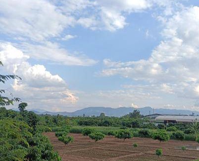 Lamphun Bed & Breakfast | 16 m² Bed and breakfast ∙ 2 guests