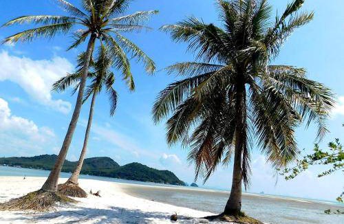 Ko Yao Bed & Breakfast | 25 m² Bed and breakfast ∙ 2 guests
