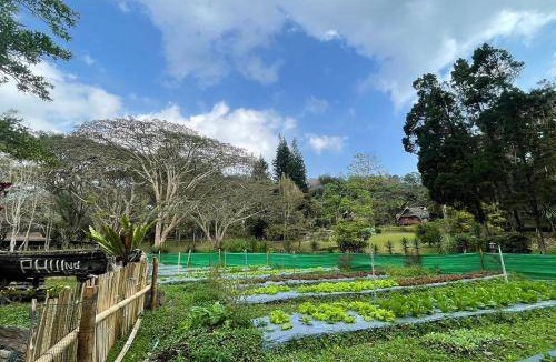 Pong Yaeng Hotel | 250 m² Hotel ∙ 30 guests
