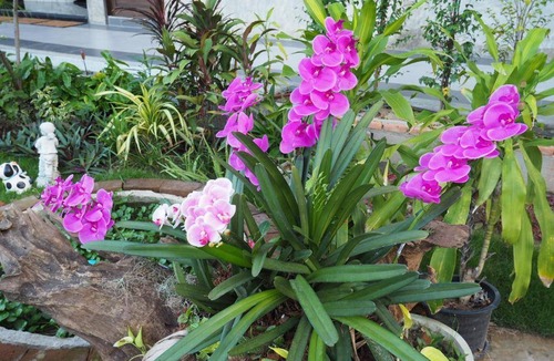 Lamphun Hotel | 26 m² Hotel ∙ 2 guests