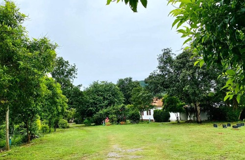 Kaeng Krachan Hotel | 30 m² Hotel ∙ 4 guests