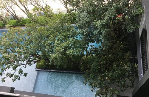 Mak Khaeng Apartment | 31 m² Apartment ∙ 1 bedroom ∙ 2 guests