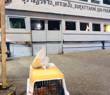 Ban Pa Yang Boat Rental | 32 m² Houseboat ∙ 1 bedroom ∙ 1 guest