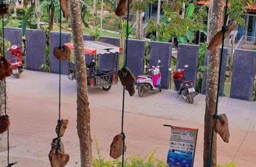 Ko Lanta Apartment | 32 m² Serviced apartment ∙ 127 guests