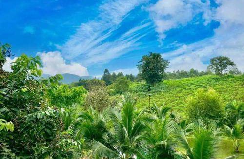 Mae Chan Bed & Breakfast | 35 m² Bed and breakfast ∙ 3 guests