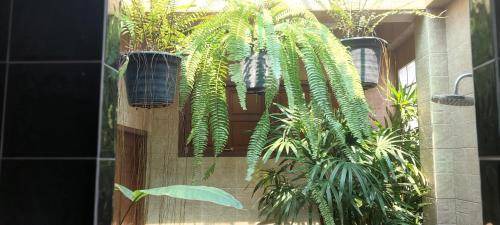 Sao Hai Bed & Breakfast | 35 m² Bed and breakfast ∙ 1 bedroom ∙ 2 guests
