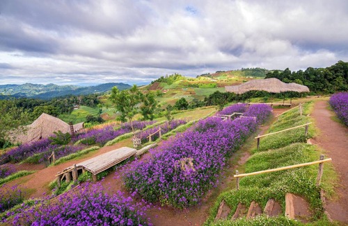 Mae Rim Bed & Breakfast | 36 m² Bed and breakfast ∙ 2 guests