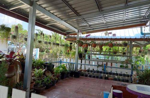 Prakhon Chai Bed & Breakfast | 36 m² Bed and breakfast ∙ 1 bedroom ∙ 2 guests