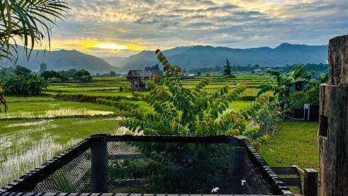 Chiang Klang House | 36 m² Farmhouse ∙ 8 guests