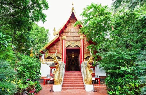Chiang Rai Hotel | 45 m² Hotel ∙ 4 guests