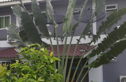 Ko Lanta Apartment | 52 m² Apartment ∙ 3 guests