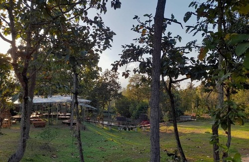 Huai Sai House | A Bungalow with attached kitchen in rural environment
