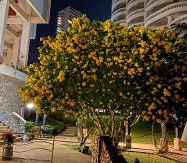 North Pattaya Apartment | Amazing Spacious Seaview Condo