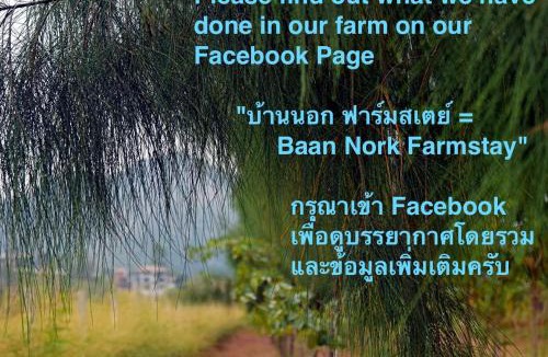Nong Nam Daeng House | Baan Nork Farmstay บ้านนอก ฟาร์มสเตย์