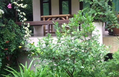 Wok Tum Apartment | Ban Sabai 5 - Koh Phangan