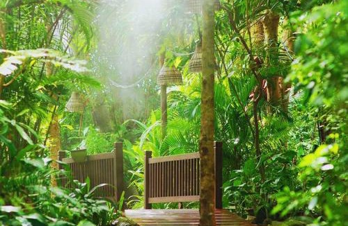 Pratumnak Hill Resort | Birds and Bees Resort