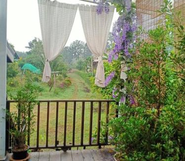 Nong Ki House | Bo Cabin in Garden โบคาบิน อิน การ์เดน