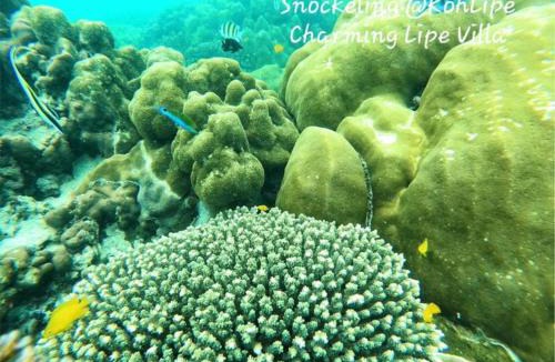 Satun Resort | Charming Lipe Beach Resort