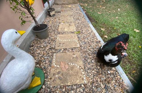 Chiang Dao House | Chiang Dao Story Camp