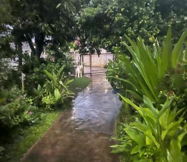 Hai Ya House | Chiang Mai Slow time