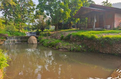 Mae Taeng House | DoiLom Elephant Farmstay
