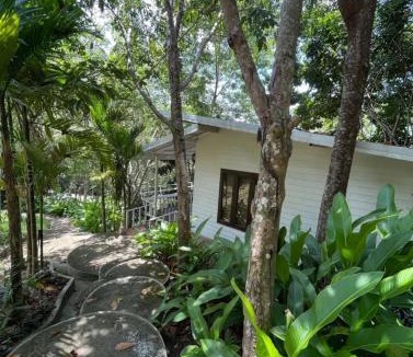 Baan Tai House | Dragon Soul Retreat Center