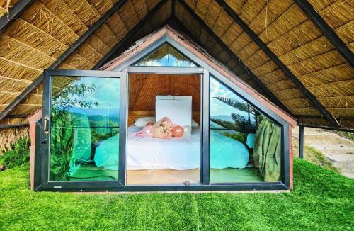 Chiang Rai Hotel | Flower hill 180