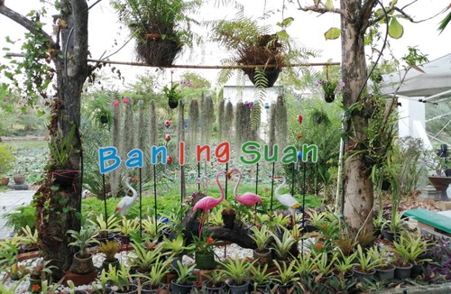 Bang Chalong House | Guesthouse close to Airport