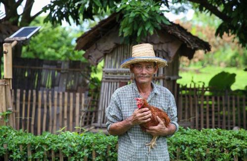 Tha Sala House | Hang Tueng farm stay Chiang Mai แฮงตึง ฟาร์มสเตย์ เชียงใหม่