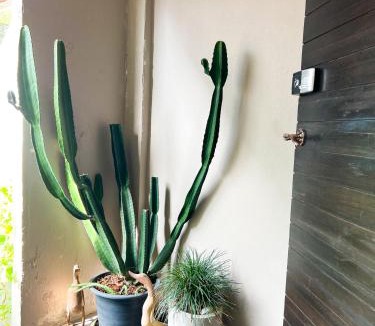 Nimman Bed & Breakfast | Home at 20 by Sleepyoho