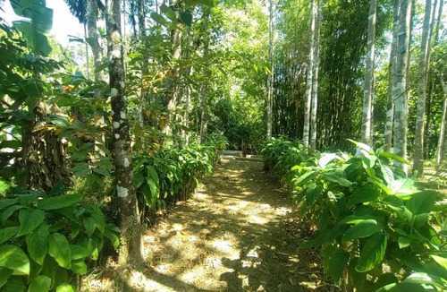 Koh Chang Tai Hostel | Hostel ∙ 8 guests