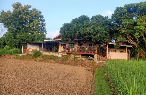 Phayao Cabin | Janchai Homestay