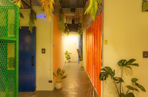 Talat Yot Hostel | Khao San Social Capsule Hostel