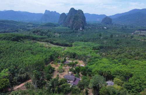 Khlong Sok Resort | Khao Sok Hill Top Resort