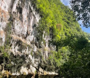 Khlong Sok Resort | Khao Sok Hill Top Resort