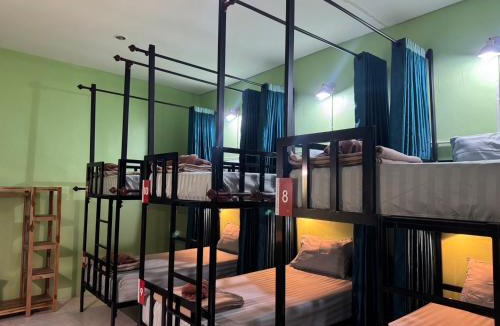 Khlong Sok Hostel | Khao Sok Jungle Hostel