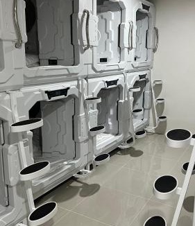 Nana Hotel | Kiwi Capsule Hotel