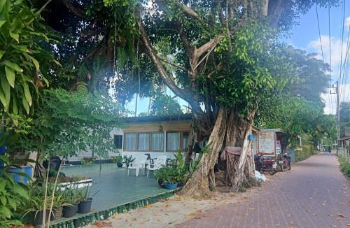 Ko Mook House | Kohmook treehouse