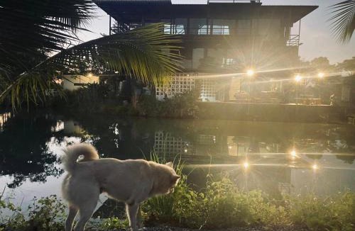 Pak Phli Resort | Little Farm Nakornnayok J