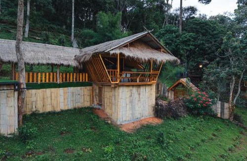 Pa Pae Resort | Lochi Chiangmai โลชิ เชียงใหม่