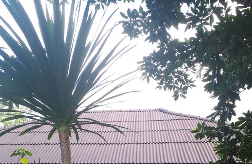 Pa Phayom Hotel | Longgaeng Wang Chompoo