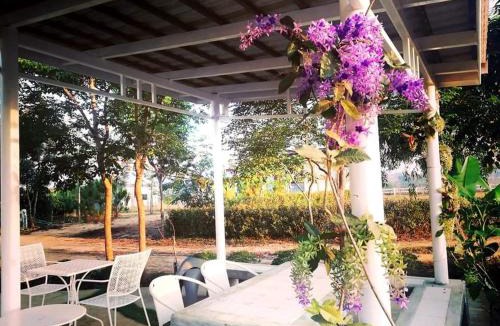 Pong Ta Long House | Luna Rose ลาลูน่าวินเทจโฮมเขาใหญ่