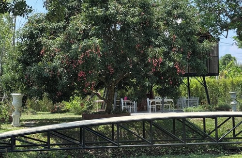 San Pa Thong Villa | Luxury Villa Lacroix Organic FarmStay Chiang Mai