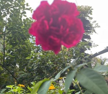 Thong Pha Phum Apartment | Maka farmstay Thong Pha Phum สวนคุณตาฟาร์มสเตย์