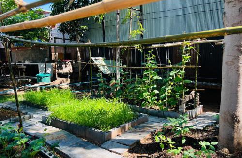 Ban Phai House | Markai Garden