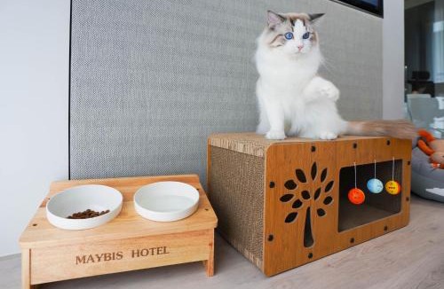 Phraek Sa Mai Hotel | Maybis Hotel