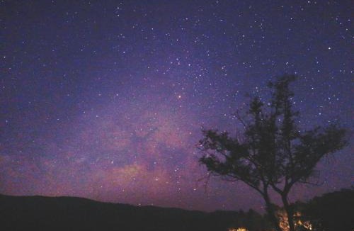 Phrao Other | Napahong Treehouse forest camp