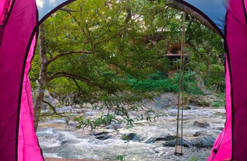 K. Wipawadi House | Oasis forest garden