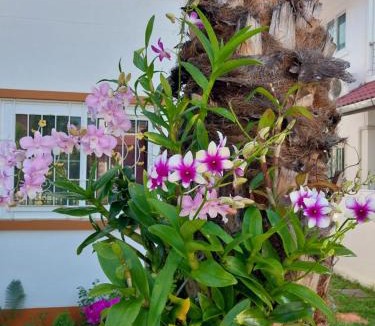 Hang Dong District House | P and A Thai Lanna Resort