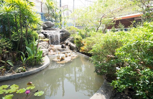 Bang Kra So House | Private house nearby Chao Pra Ya River (not far from Bangkok)iverside)